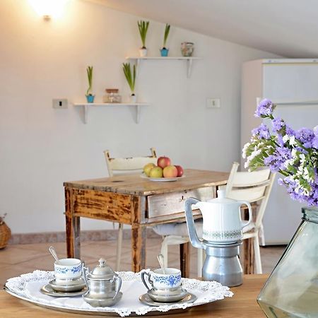 Anemone Guest House سانتا ماريا نافاريز المظهر الخارجي الصورة